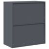 vidaXL Armoire de rangement Anthracite 80 x 40 x 90 cm Acier