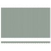 vidaXL Auvent Rétractable Vert et blanc 500 × 300 cm Polyester, Métal