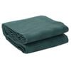 vidaXL Tapis de tente vert 4x2,5 m