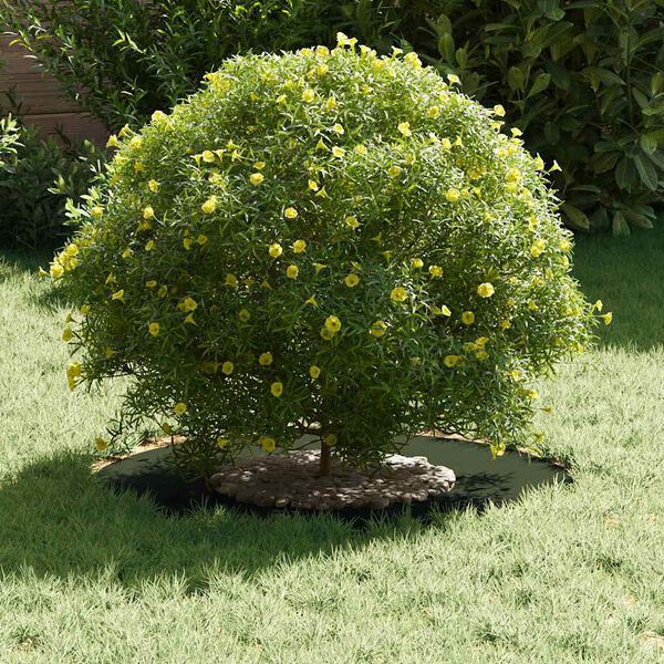 vidaXL adapt&eacute; pour anneaux d'arbre plats 5 pcs Vert olive &Oslash;30 / 60 cm