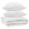vidaXL Duvet toutes saisons avec oreiller 3 pcs Blanc Microfibre