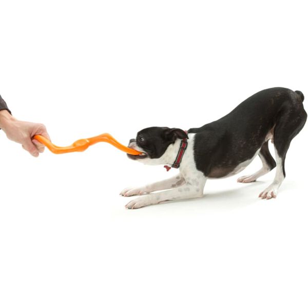 Zogoflex Jouet &agrave; m&acirc;cher pour chiens Bumi Taille L Orange 1947