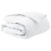 vidaXL Duvet d'hiver 200 x 220 cm Hiver Plume Blanc Respirant