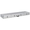 vidaXL Mallette pour arme &agrave; feu Argent&eacute; 134 x 35 x 12 cm Aluminium