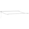 vidaXL Auvent r&eacute;tractable automatique bordeaux 300x250 cm