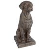 Gifts Amsterdam Sculpture Dog Polystone Marron 30x21x48 cm