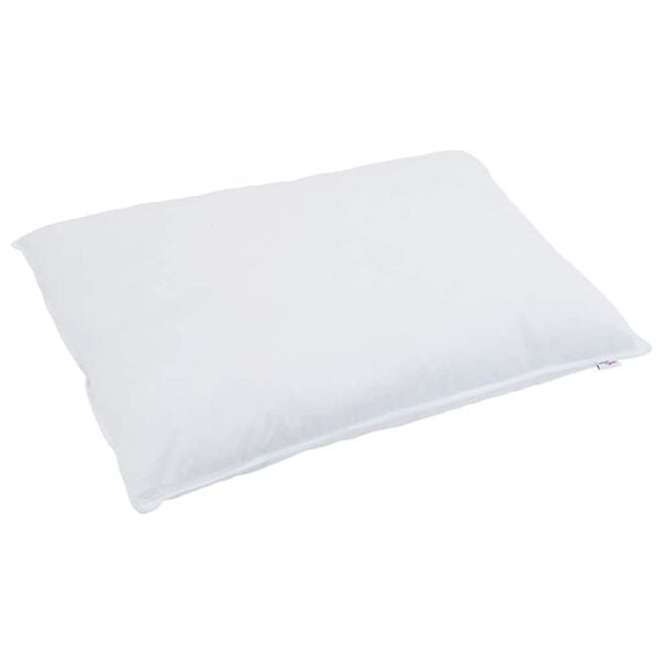 vidaXL Duvet 2-en-1 avec oreiller 2 pcs Blanc Plume de canard