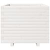 vidaXL Jardini&egrave;re blanc 60x60x49,5 cm bois de pin massif