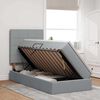 vidaXL Lit avec rangement et LED Gris clair 100 x 200 cm Polyester