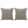 vidaXL Coussins d&eacute;coratifs lot de 2 Gris clair 40x40 cm Velours