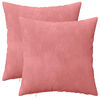 vidaXL Coussin avec oreiller HEERLEN 2 pi&egrave;ces Rose Velours