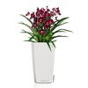 LECHUZA Jardini&egrave;re Cubico 22 ALL-IN-ONE blanc brillant