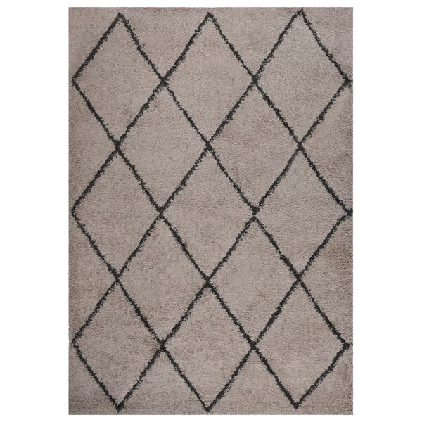 vidaXL Tapis shaggy &agrave; poils longs Beige et anthracite 140x200 cm