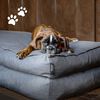 Madison Coussin pour chiens Panama 100x70x15 cm Gris