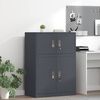 vidaXL Armoire de rangement Anthracite 80 x 40 x 40 cm Acier