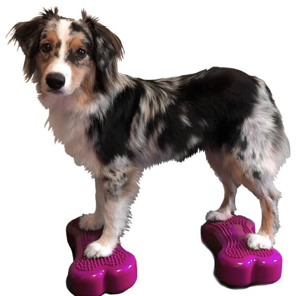 FitPAWS Plate-forme d'&eacute;quilibre pour animaux de compagnie 2 pcs