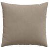 vidaXL Coussins de canap&eacute; 2 pcs Taupe 45 x 45 cm tissu