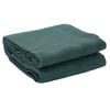 vidaXL Tapis de tente Vert 300 x 200 cm Polyester