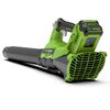 Greenworks Kit de souffleur axial 40 V 4 Ah