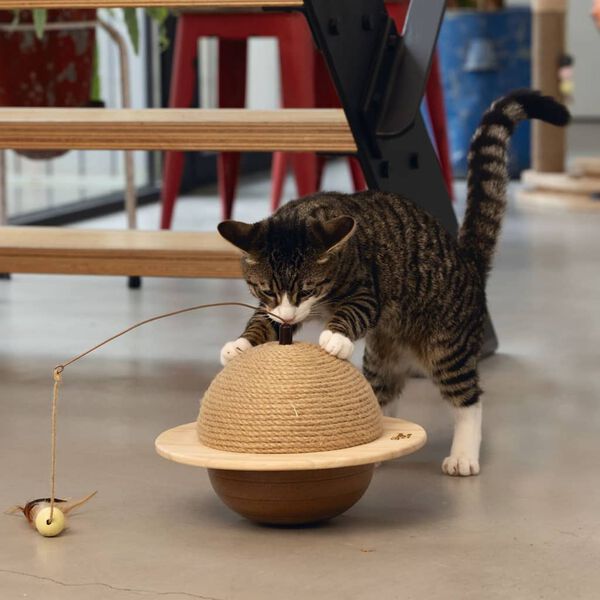 Designed by Lotte Globe &agrave; gratter pour chat Wiggly 29,5x20 cm Bois