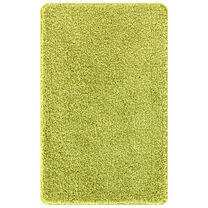 vidaXL Tapis de bain antid&eacute;rapant Vert 50 x 80 cm PP