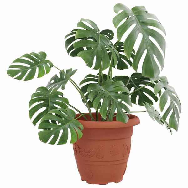 vidaXL Pot &agrave; fleurs rond 6 pcs Rouge brique &Oslash; 26 x 21,5 cm Plastique