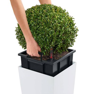 LECHUZA Jardinière Cubico Color 40 ALL-IN-ONE Blanc 13150