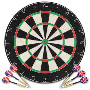 vidaXL Jeu de cibles professionnel en sisal avec 6 fl&eacute;chettes