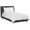 vidaXL Duvet d'été simple avec oreiller 2 pcs Blanc Plume de canard