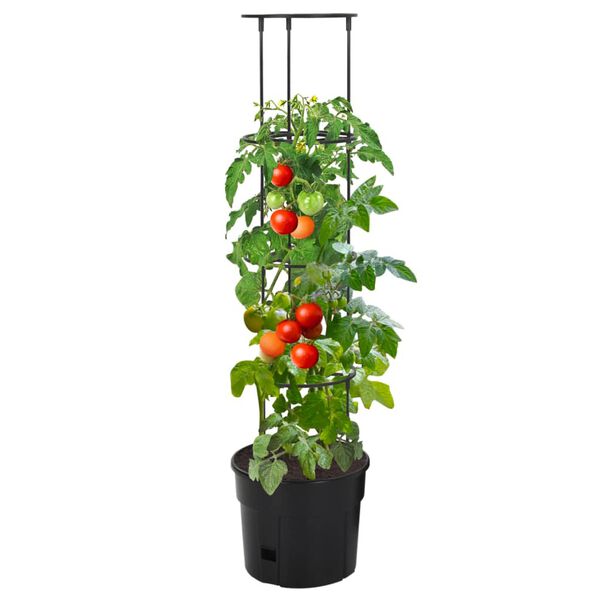 vidaXL Jardini&egrave;re &agrave; tomate Anthracite &Oslash;29,5x115 cm Polypropyl&egrave;ne