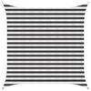 Anthracite_and_white