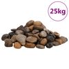 vidaXL Galets polis 25 kg multicolores 2-5 cm