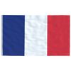 vidaXL Drapeau de la France et mât 5,55 m Aluminium