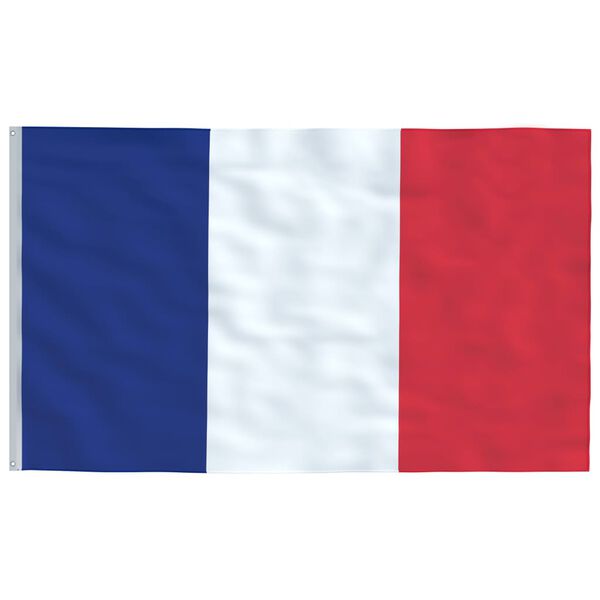 vidaXL Drapeau de la France et mât 5,55 m Aluminium