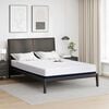 vidaXL Matelas Blanc et Bleu 160 x 200 cm Tissu jacquard