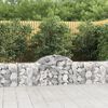 vidaXL Paniers &agrave; gabions arqu&eacute;s 25 pcs 200x30x60/80 cm Fer galvanis&eacute;