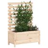 vidaXL Jardini&egrave;re avec support 79x39,5x114 cm bois de pin massif