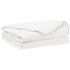 vidaXL Couette FULDA 200 x 200 cm &Eacute;t&eacute; 100 GSM 90% duvet de canard