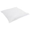 vidaXL Duvet d'hiver avec oreiller 2 pcs Blanc Plume de canard