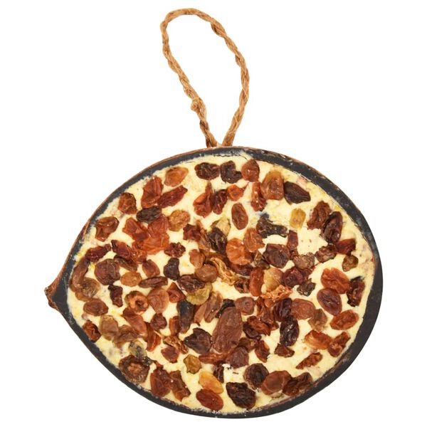 vidaXL Moitiés de noix de coco de nourriture d'oiseaux 10 pcs 290 g