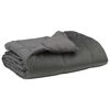 vidaXL Duvet complet toute l'ann&eacute;e Gris clair 220 x 260 cm Microfibre