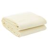 vidaXL Tapis de tente cr&egrave;me 6x2,5 m