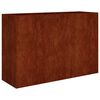 vidaXL Lit sur&eacute;lev&eacute; de jardin 120x40x80 cm acier corten
