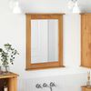 vidaXL Miroir VIGO marron miel 55,5 x 5 x 70 cm Bois massif en pin