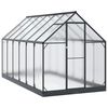 vidaXL Serre de jardin 183,5 x 363,5 x 207 cm