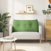vidaXL Coussin de Dos Vert clair 100 x 24 x 50 cm Velours