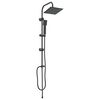 vidaXL Syst&egrave;me de Douche Noir 47 x 20 x 95 cm Acier inoxydable