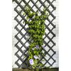 Nature Treillis de jardin 50x150 cm bois anthracite