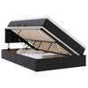 vidaXL Lit avec rangement et matelas Noir 120 x 190 cm Simili cuir