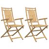 vidaXL Chaises pliantes (lot de 2) 53 x 66 x 99 cm en bambou